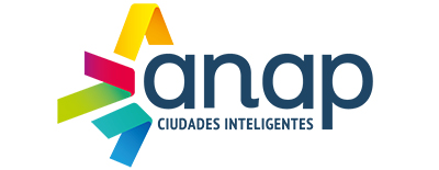 Logo-anap